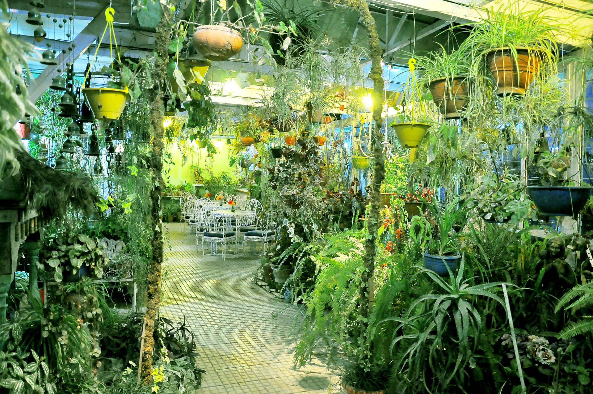 Brightland Hotel Gallery Image 50